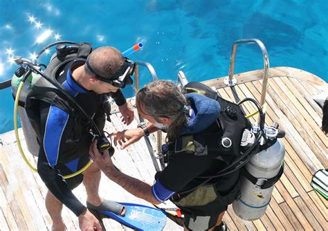 buddy check diving